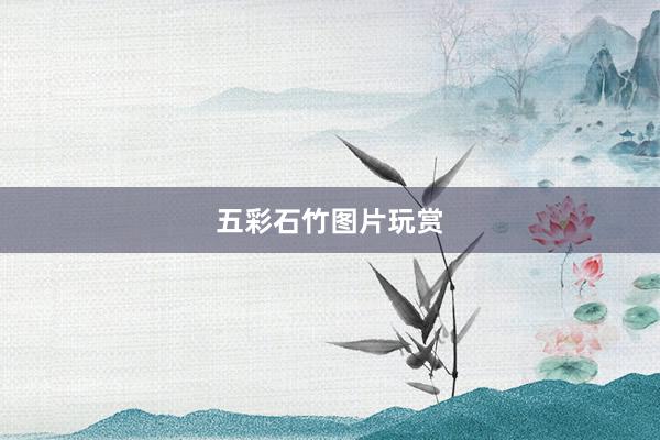 五彩石竹图片玩赏