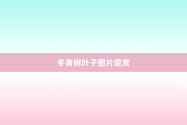 冬青树叶子图片观赏